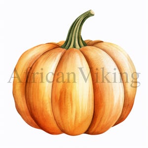 May include: A single orange pumpkin with a green stem. The pumpkin has a smooth, slightly textured surface and is a classic fall decoration.