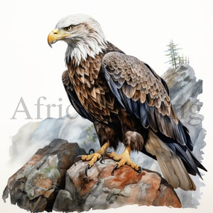 Eagle Clipart | 10 High Quality JPGs | Digital download | Nursery Art | Card Making | Eagle Print | Watercolour Painting | Paper Craft