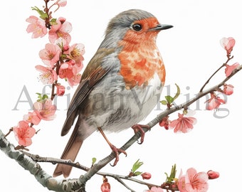 ロビンバードの春の花のクリップアート | 保育園のアート（デジタルダウンロード）
