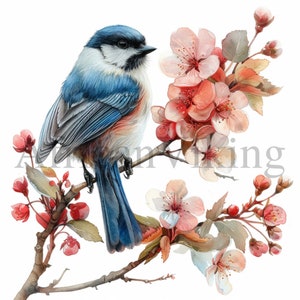 Clipart mésange à l'aquarelle | 10 fichiers JPG de haute qualité | Téléchargement numérique | Art pour chambre d'enfant | Clipart oiseau mignon | Fabrication de cartes | Créations numériques en papier