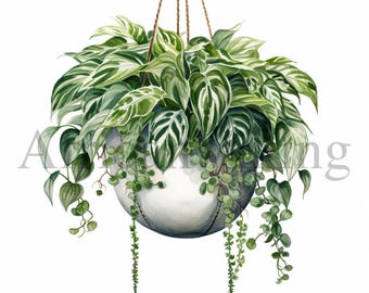 Clipart de plantas colgantes: Plantas florales en maceta (Descarga digital)