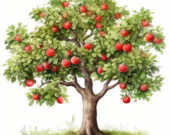 Apple Trees Clipart 10 High Quality Jpgs Botanical Art Fruit Tree ...