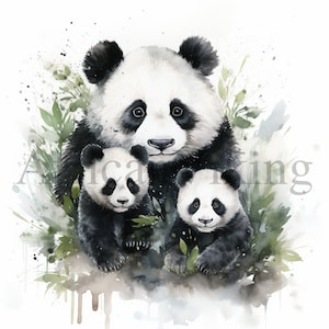 Panda Familie Clipart | 10 hochwertige JPGs | Digitaler Download | Kartengestaltung | Niedliche Tier Clipart | Digitales Papiermodell | Scrapbooking