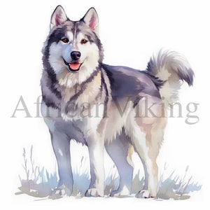 Portrait Husky | 10 fichiers JPG de haute qualité | Téléchargement numérique instantané | Créations en papier | Technique mixte | Fabrication de cartes | Art pour chambre d'enfant | Clipart chien mignon