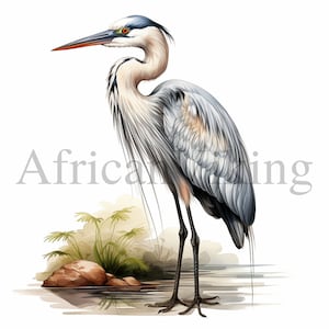 Heron Clipart | 10 High Quality JPGs | Digital download | Card Making | Birds Clipart | Nursery Art | Digital Paper Craft | Mixed Media
