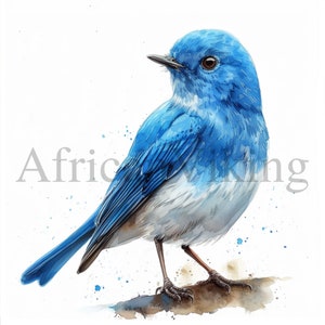 Clipart Oiseau bleu | 10 fichiers JPG de haute qualité | Téléchargement numérique | Art pour chambre d'enfant | Fabrication de cartes | Clipart oiseaux | Créations numériques en papier | Technique mixte