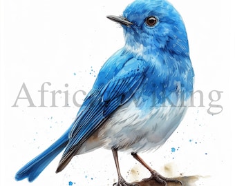Blue Bird Clipart | 10 High Quality JPGs | Digital Download | Nursery Art | Card Making | Birds Clipart | Digital Paper Craft | Mixed Media