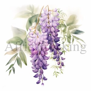 Clipart di glicina / 5 JPG di alta qualità / Download digitale / Journaling / Creazione di cartoline / Mestiere di carta digitale / Arte botanica / Scrapbooking