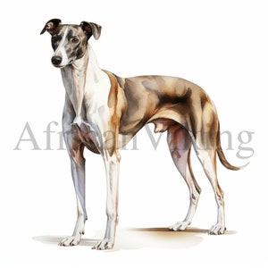 Clipart Lévrier | 10 fichiers JPG de haute qualité | Téléchargement numérique | Fabrication de cartes | Créations numériques en papier | Clipart | Art pour chambre d'enfant | Clipart chien mignon