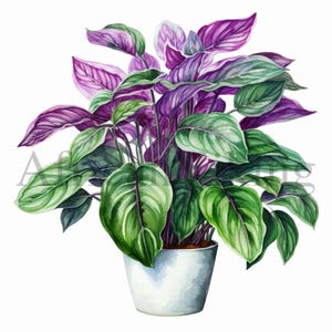 Houseplant Clipart | 10 High Quality JPGs | Digital download | Greenery Clipart | Plant Clip Art | Potted Plant Clipart | Landscape Clipart