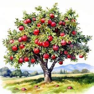 Apple Trees Clipart / 10 JPG de alta calidad / Descarga digital / Apple Tree Clipart / Diario / Arte botánico / Imágenes de collage / Imágenes prediseñadas