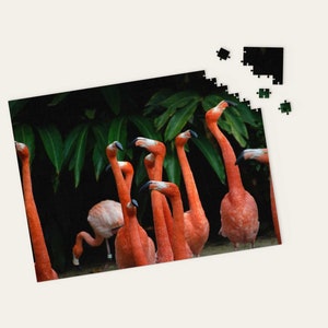 Pink Flamingo Poker Christmas Gift Set Two Packs of Cards 80 