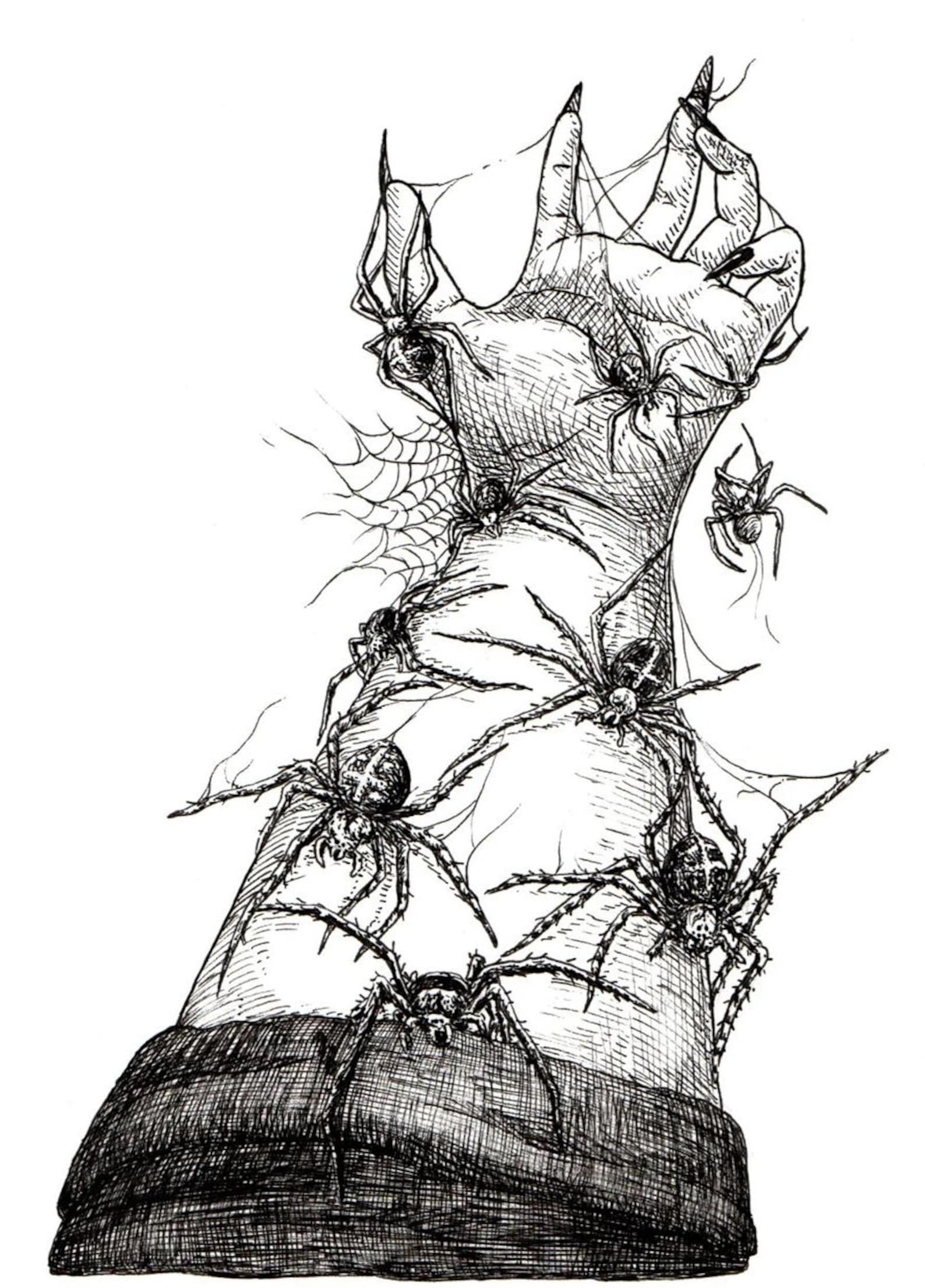 SPIDERS Original Fineliner Illustration / Pen and Ink Drawing Araneae ...