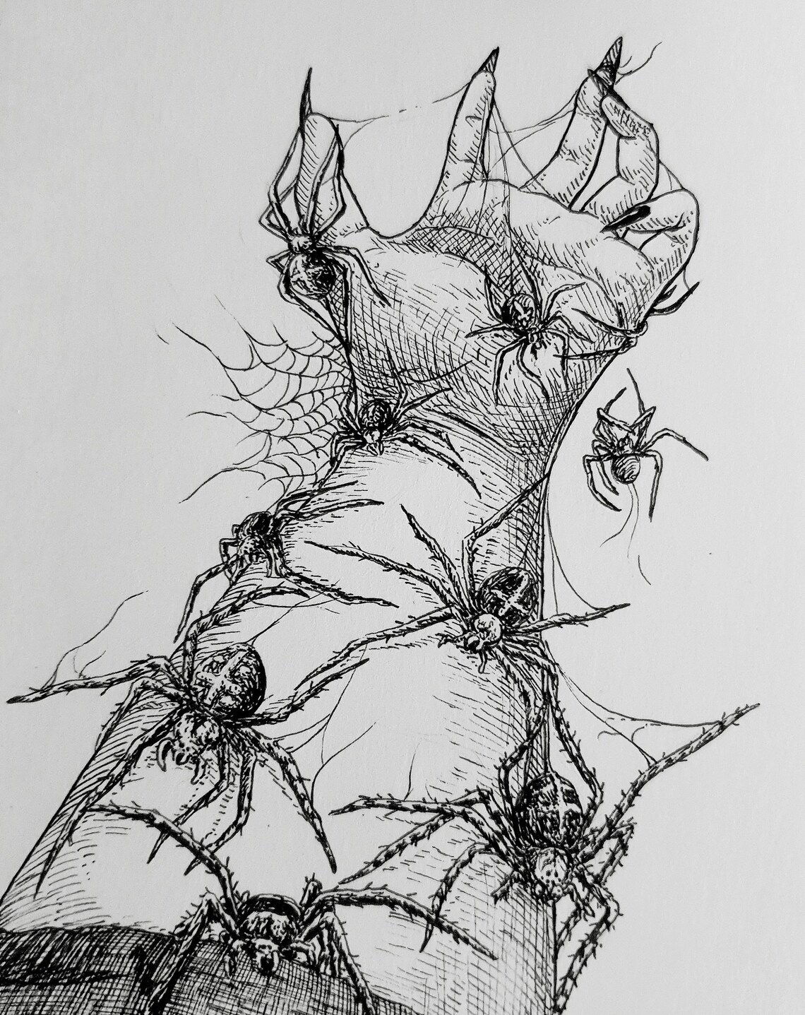 SPIDERS Original Fineliner Illustration / Pen and Ink Drawing Araneae ...