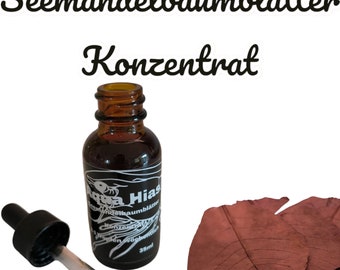 Indian almond leaf concentrate