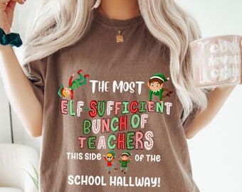 Teacher Funny Christmas Shirt Jolliest Bunch of Teachers this side of Teacher Holly Jolly, Teacher Reindee Teacher Shirt Gift Merry Teacher
