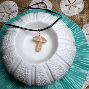 May include: A seashell mushroom pendant hangs from a black cord necklace. The mushroom is tan and pink, with a textured cap. The necklace rests in a white, textured bowl on a teal plate.
