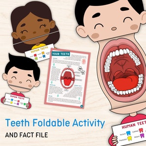 Kids Teeth Foldable Activity | Science Learning Primary Education Montessori Activity Homeschool Resources Color Printable Digital Download