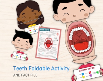 Kids Teeth Foldable Activity | Science Learning Primary Education Montessori Activity Homeschool Resources Color Printable Digital Download