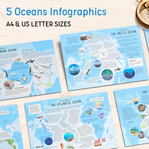 5 Ozeane Infografiken | Fact-Dateien Geographie lernen Grundbildung Homeschool Kinder Karte Ressourcen Farbe druckbare PDF digitaler Download
