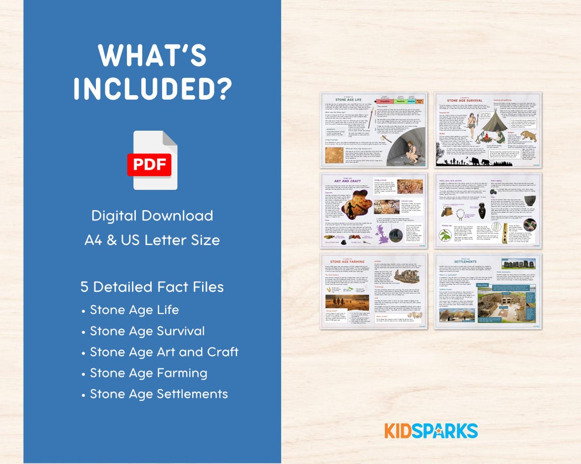 Stone Age Fact Files | Prehistoric Human History Learning Primary ...