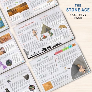 Fichas técnicas sobre la Edad de Piedra / Historia humana prehistórica Aprendizaje Educación primaria Educación en casa Recurso para niños Color Imprimible PDF Descarga digital