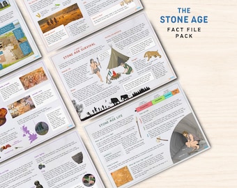 Stone Age Fact Files | Prehistoric Human History Learning Primary Education Homeschool Kid Resource Colour Printable PDF Digital Download