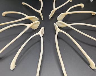 Chicken ROOSTER wishbones - Furcula - real, natural