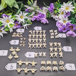 May include: A collection of 9 numbered white tags with black numbers on a black background. Each tag is next to a group of white bone-like structures. The structures are arranged in rows and columns. The structures are labeled with numbers 1 through 9.