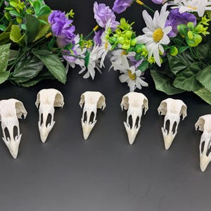 May include: Six off-white bird skulls are arranged in a row on a dark surface, with a floral arrangement of purple, white, and green flowers in the background. The skulls have a pointed beak and detailed bone structure.
