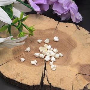 May include: A close-up of a pile of small, white, irregularly shaped stones on a wooden surface. The stones are scattered on a wooden slice with a natural bark edge.