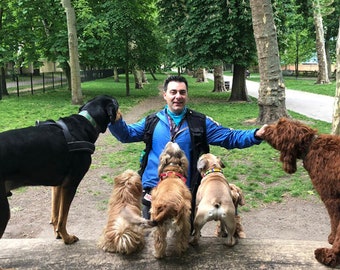 Élevez le chien parfait comme un dresseur professionnel