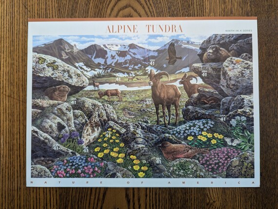 Northeast Deciduous Forest Collectible Stamp Sheet - USPS Nature Of America Series, Scott #3899 - View #5