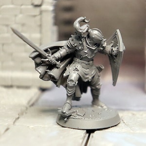 Human, Male, Fighter, Paladin, in Full Plate Mail, Wielding Long Sword, Large Shield, Cape, Feather in Helm - 25/32/75mm Fantasy Miniature