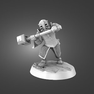 Male, Female, Dwarf, Warriors, Sword, Shield, Axe, Spear, Javelin, Fey, Armored, Cloak, Helmet  - 25/28/32mm Fantasy Miniature