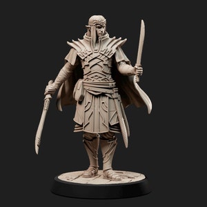 Elfo, masculino, luchador, estilo de lucha con 2 espadas, cota de malla élfica, diadema y capa corta, botas de placas - Miniatura de fantasía de 25/32/75 mm