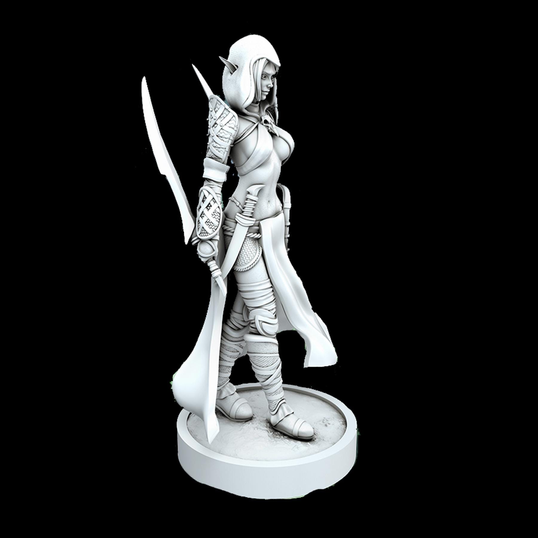 Elf, Female, Assassin, Ranger, Rogue, Thief, Swords, Leather, Cropped ...