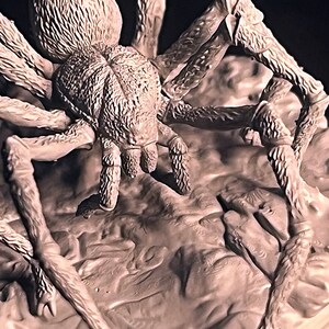 May include: A detailed, grey, plastic model of a large spider with hairy legs and a textured body. The spider is posed on a textured base.