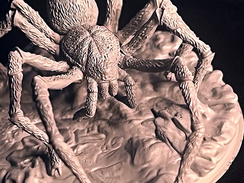 May include: A detailed, grey, plastic model of a large spider with hairy legs and a textured body. The spider is posed on a textured base.