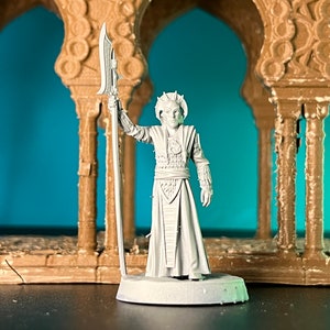 Guerriero, Leader, Cultista, Chierico, Piastra di Foglia, Vesti, Bardiche con Lama, Elmo del Sole, Medio-Orientale - 25/32/75 mm Fantasy Miniature