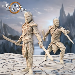 May include: Two detailed, unpainted, miniature figurines of elves, each holding a sword. The elves are wearing intricate armor and clothing with a detailed design. The figures are standing on a circular base.