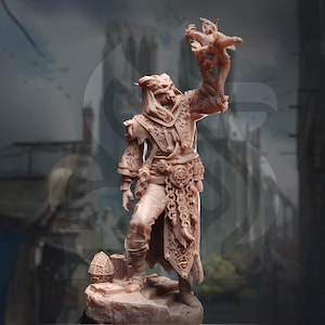 Human, Male, Cultist, Warrior, Cleric, Necromancer, Pseudo Dragon, Chains, Scrolls, Skull Mask - 25/28/32/40/75mm Fantasy Miniature