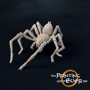 May include: A detailed, white, 3D printed model of a spider with hairy legs and a textured body.