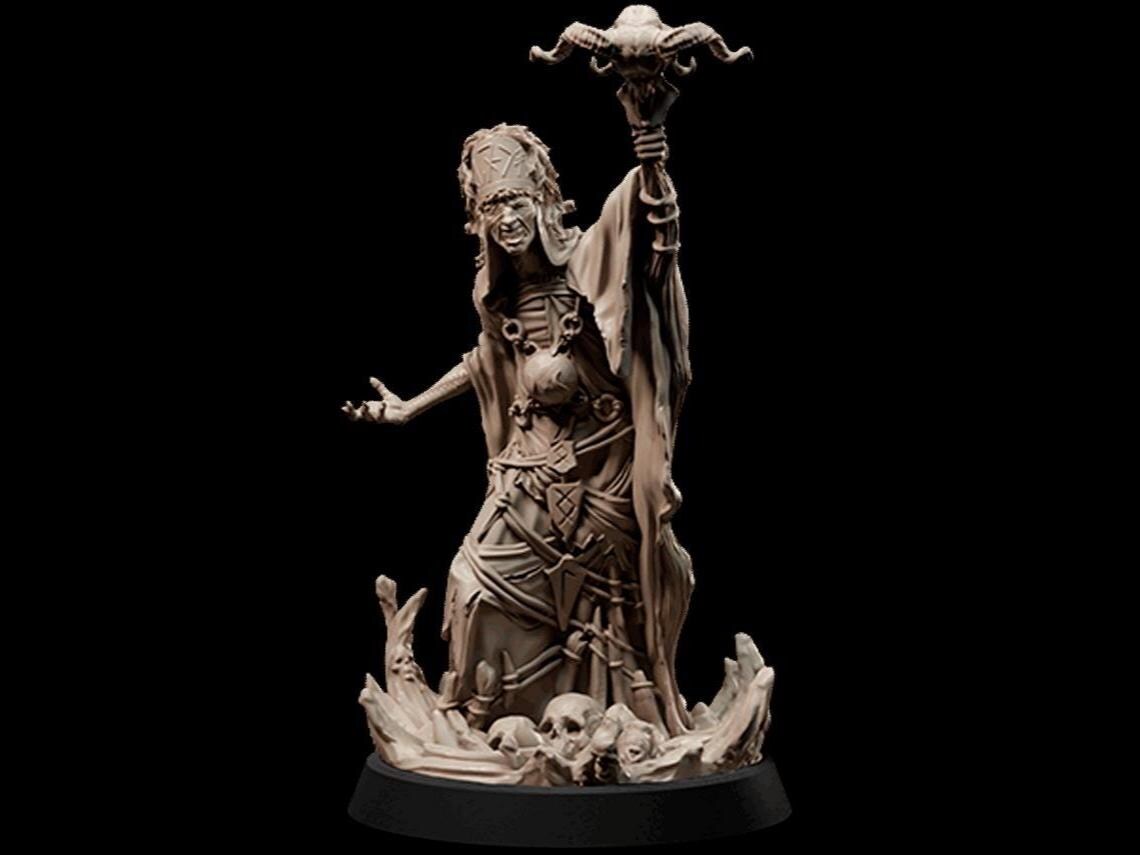 Ruencaster Human, Female, Runecaster, Viking, Mage, Shaman, Conjurer, Wizened ...
