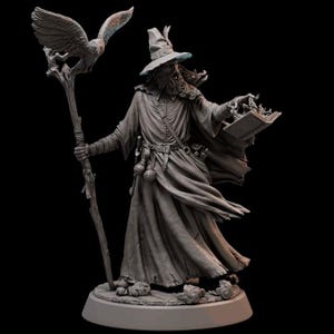 May include: A gray sculpted figurine of a wizard holding a staff and an open book. The wizard is wearing a long robe and a pointed hat. An owl is perched on the staff.