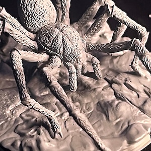 May include: A detailed, grey, plastic model of a large spider with eight legs. The spider is posed with its front legs raised and its body facing the camera.