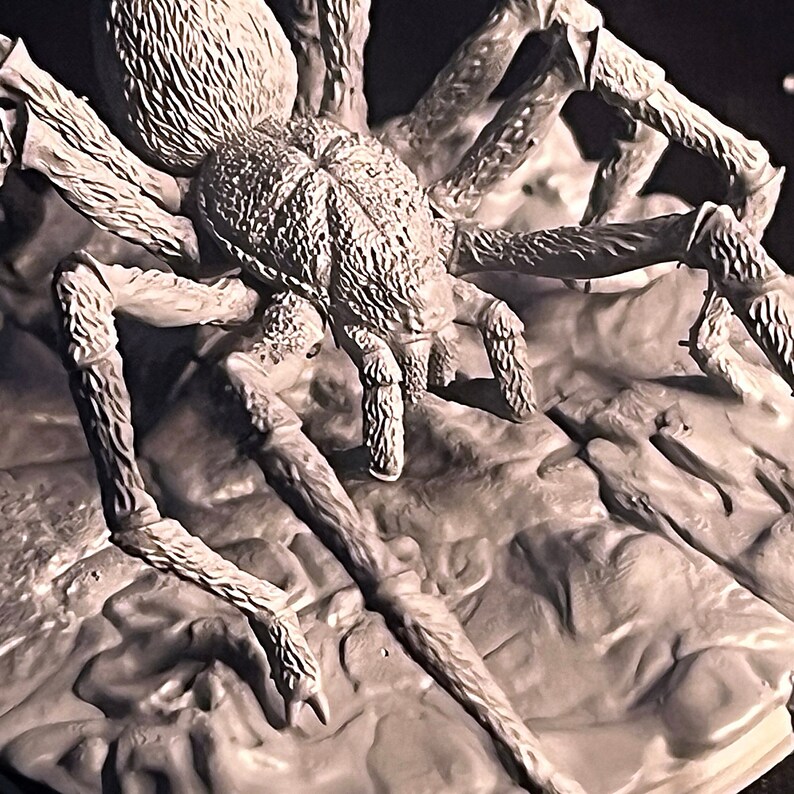 May include: A detailed, grey, plastic model of a large spider with eight legs. The spider is posed with its front legs raised and its body facing the camera.