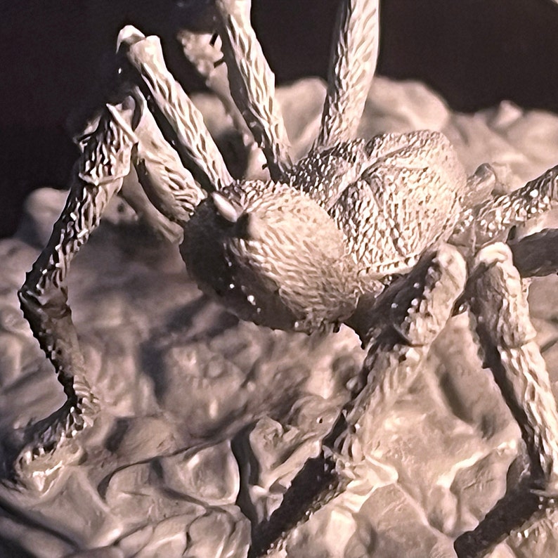 May include: A detailed, white, plastic model of a spider with hairy legs and a textured body.