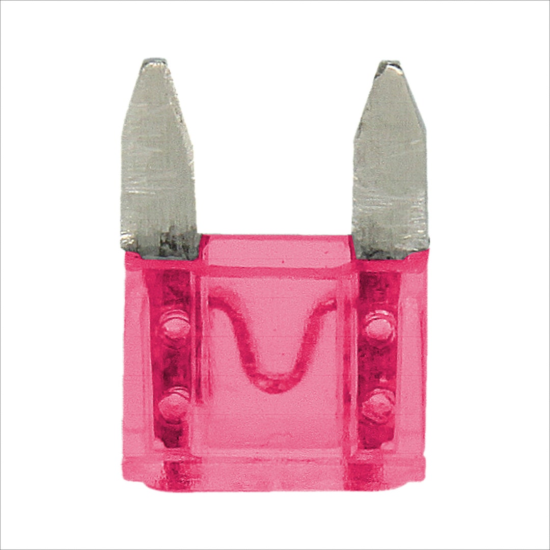 Mini Blade Fuse 100 Pack 40 Amp APM ATM 32V Fast Acting Auto Etsy