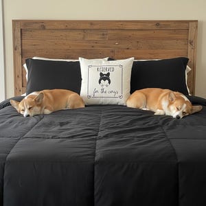May include: Two sleeping corgi dogs rest on a black comforter, flanking a decorative pillow. The pillow reads "Reserved for the corgs" with a corgi graphic. A wooden headboard completes the cozy bedroom scene.